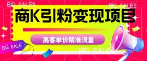 商K引粉变现项目，高客单价精准流量【揭秘】-知乎者也