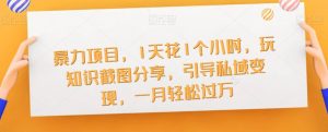 暴力项目,1天花1个小时,玩知识截图分享,引导私域变现,一月轻松过万【截图】-知乎者也