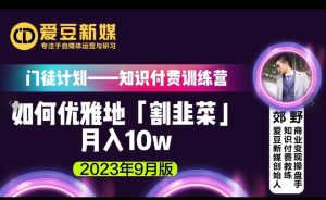 爱豆新媒:如何优雅地「割韭菜」月入10w的秘诀(2023年9月版)-知乎者也