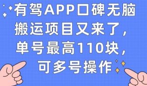 有驾APP口碑无脑搬运项目又来了,单号最高110块,可多号操作-知乎者也