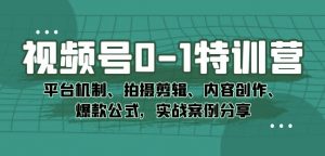 视频号0-1特训营:平台机制、拍摄剪辑、内容创作、爆款公式,实战案例分享-知乎者也
