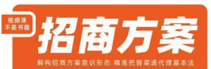 王昕招商方案,解构招商方案意识形态,精准把握渠道代理基本法-知乎者也