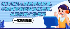 小红书达人矩阵变现项目,只需要复制粘贴发布即可,从而获取广告费用-知乎者也