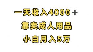 一天收入4000+,靠卖成人用品,小白轻松月入5万【揭秘】-知乎者也