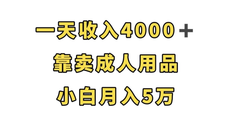 一天收入4000+,靠卖成人用品,小白轻松月入5万【揭秘】-知乎者也