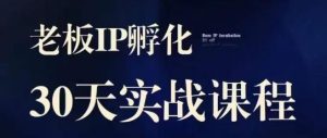诸葛·2023老板IP实战课,实体同城引流获客,IP孵化必听-知乎者也