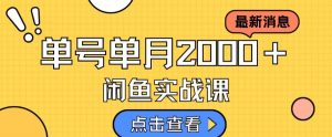 最新闲鱼日入500+,虚拟资料变现喂饭级讲解-知乎者也