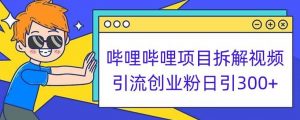 哔哩哔哩项目拆解引流创业粉日引300+小白可轻松上手【揭秘】-知乎者也
