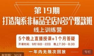 打造淘系非标全店N多个爆款线上课,5天直播课-知乎者也