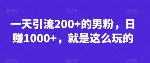 一天引流200+的男粉,日赚1000+,就是这么玩的【揭秘】-知乎者也