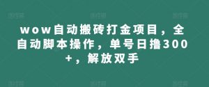 wow自动搬砖打金项目，全自动脚本操作，单号日撸300+，解放双手【揭秘】-知乎者也