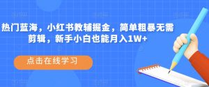 热门蓝海,小红书教辅掘金,简单粗暴无需剪辑,新手小白也能月入1W+【揭秘】-知乎者也