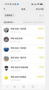 卖古籍电子书,作品只需要简单的图片去重,高客单价高利润,月入五位轻轻松松-知乎者也