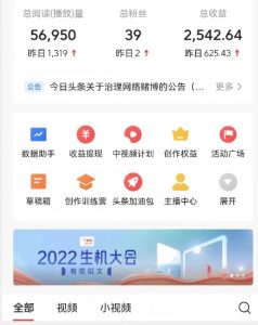 全新蓝海,西瓜视频流量掘金项目,简单上手适合0基础小白,暴力玩法日入500+【揭秘】-知乎者也
