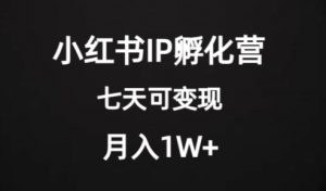 价值2000+的小红书IP孵化营项目,超级大蓝海,七天即可开始变现,稳定月入1W+-知乎者也