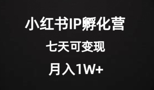 价值2000+的小红书IP孵化营项目,超级大蓝海,七天即可开始变现,稳定月入1W+-知乎者也
