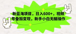 新蓝海项目,日入600+,视频号叠加变现,新手小白无脑操作【揭秘】-知乎者也