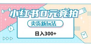 小红书0元竞拍,文玩卖货新玩法,一天轻松300+【揭秘】-知乎者也
