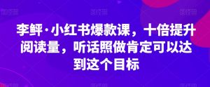 李鲆·小红书爆款课，十倍提升阅读量，听话照做肯定可以达到这个目标-知乎者也