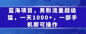 蓝海项目，男粉流量超级猛，一天1000+，一部手机即可操作【揭秘】-知乎者也