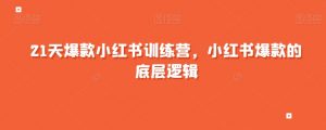 21天爆款小红书训练营，小红书爆款的底层逻辑-知乎者也
