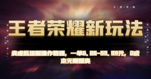王者荣耀新玩法,卖虚拟国服操作教程,一单6.88-99.99元,0成本无限贩卖【揭秘】-知乎者也