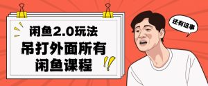 闲鱼2.0玩法单号每天日入2000，吊打市面所有课程-知乎者也