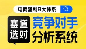 电商盈利8大体系·赛道选对,竞争对手分析系统线上课-知乎者也