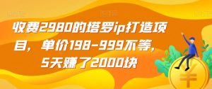 收费2980的塔罗ip打造项目，单价198-999不等，5天赚了2000块【揭秘】-知乎者也