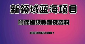 虚拟资源蓝海领域新项目，轻松日入800＋，附保姆级教程及资料-知乎者也