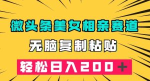 微头条冷门美女相亲赛道，无脑复制粘贴，轻松日入200＋【揭秘】-知乎者也