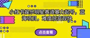 小红书娱乐明星赛道暴力起号,蓝海项目,难度低变现快【揭秘】-知乎者也
