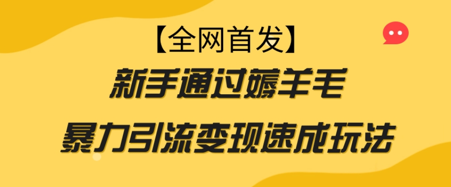 【全网首发】新手通过薅羊毛暴力引流变现速成玩法-知乎者也
