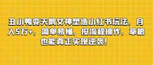 丑小鸭变天鹅女神塑造小红书玩法，月入5万+，简单易懂，按流程操作，草根也能真正实现逆袭！-知乎者也