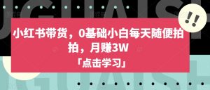 小红书带货,0基础小白每天随便拍拍,月赚3W【揭秘】-知乎者也