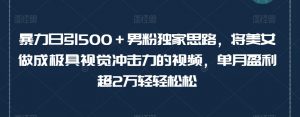 暴力日引500＋男粉独家思路，将美女做成极具视觉冲击力的视频，单月盈利超2万轻轻松松-知乎者也