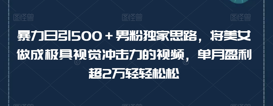 暴力日引500＋男粉独家思路，将美女做成极具视觉冲击力的视频，单月盈利超2万轻轻松松-知乎者也