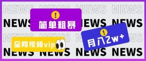 简单粗暴零成本，高回报，全网视频VIP掘金项目，月入2万＋【揭秘】-知乎者也
