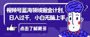 视频号蓝海领域掘金计划，日入过千，小白无脑上手【揭秘】-知乎者也
