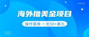 撸美金项目无门槛操作简单小白一天50+美刀-知乎者也