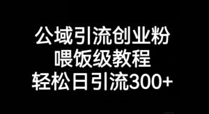 公域引流创业粉，喂饭级教程，轻松日引流300+【揭秘】-知乎者也