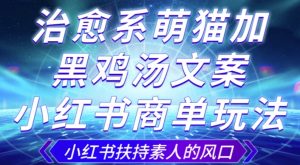 治愈系萌猫加+黑鸡汤文案,小红书商单玩法,3~10天涨到1000粉,一单200左右-知乎者也