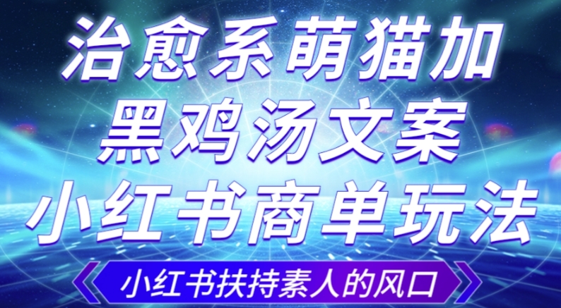 治愈系萌猫加+黑鸡汤文案,小红书商单玩法,3~10天涨到1000粉,一单200左右-知乎者也