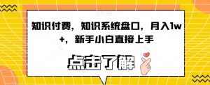 知识付费,知识系统盘口,月入1w+,新手小白直接上手-知乎者也