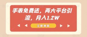 手表免费送，两大平台引流，月入1.2W【揭秘】-知乎者也