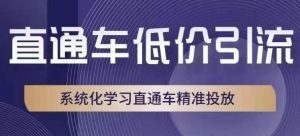 直通车低价引流课,系统化学习直通车精准投放-知乎者也