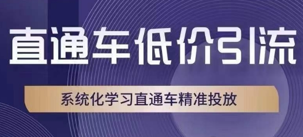 直通车低价引流课,系统化学习直通车精准投放-知乎者也