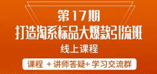 南掌柜-第17期打造淘系标品大爆款，5天线上课-知乎者也