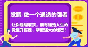 觉醒-做一个通透的强者,让你醍醐灌顶,拥有通透人生的觉醒开悟课,掌握强大的秘密!-知乎者也