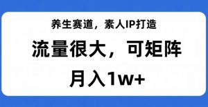 养生赛道,素人IP打造,流量很大,可矩阵,月入1w+【揭秘】-知乎者也
